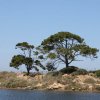 Marsala_2012 (300)
